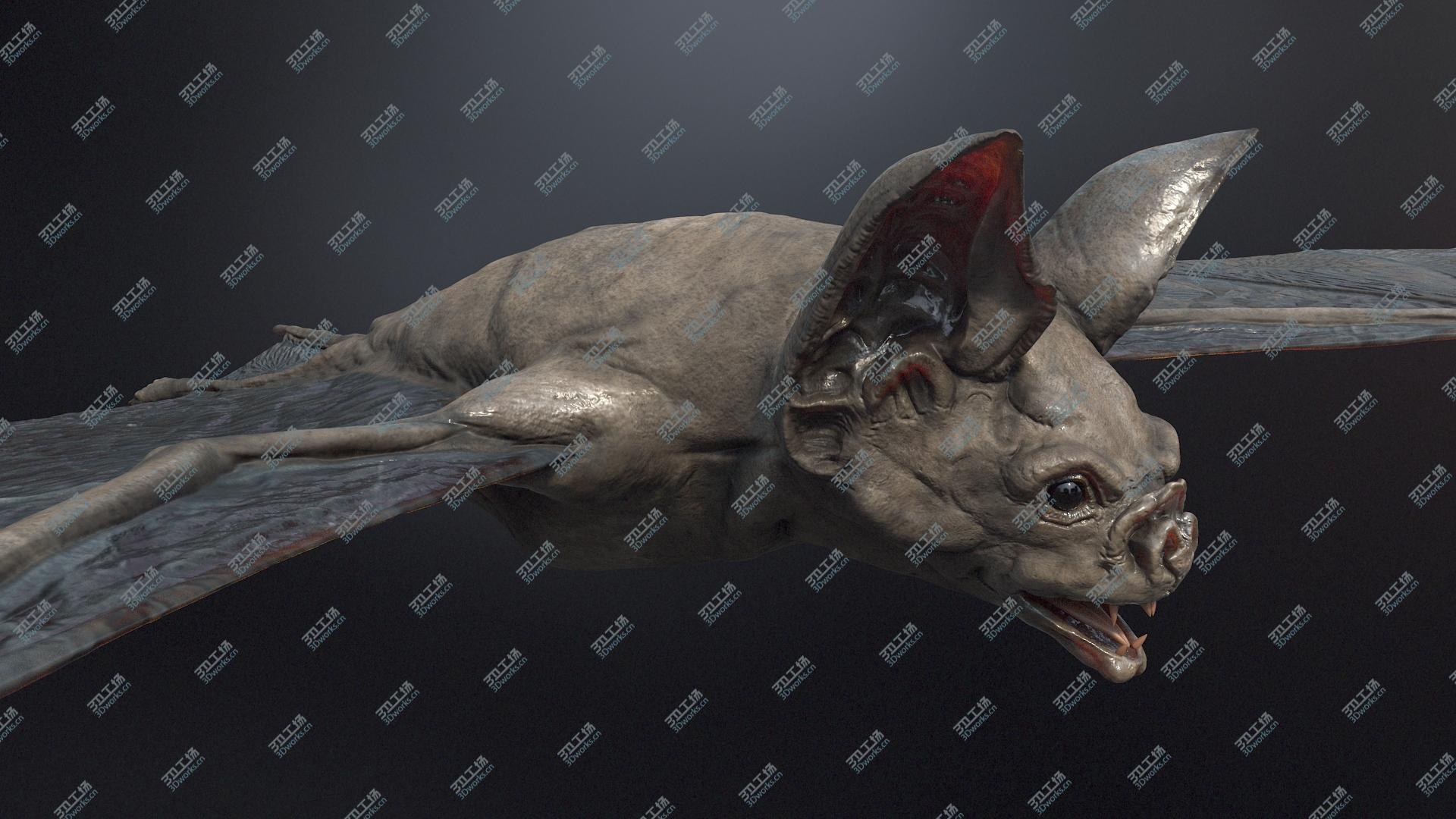 images/goods_img/2021040232/Vampire Bat/3.jpg